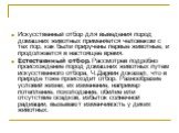 Искусственный отбор для выведения пород домашних животных применяется человеком с тех пор, как были приручены первые животные, и продолжается в настоящее время. Естественный отбор. Рассмотрев подробно происхождение пород домашних животных путем искусственного отбора, Ч.Дарвин доказал, что в природе 