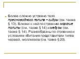 Более сложно устроено тело пресноводного полипа – гидры (см. также § 13). Близки к ней по строению морские полипы (см. также § 14) и медузы (см. также § 14). Разнообразны по строению и условиям обитания представители типов червей, моллюсков (см. также § 20).