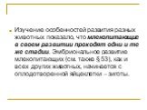 Изучение особенностей развития разных животных показало, что млекопитающие в своем развитии проходят одни и те же стадии. Эмбриональное развитие млекопитающих (см. также § 53), как и всех других животных, начинается с оплодотворенной яйцеклетки – зиготы.