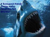 У большой белой акулы зубы треугольной формы