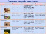 Многообразие насекомых, их роль в природе и значение Слайд: 15