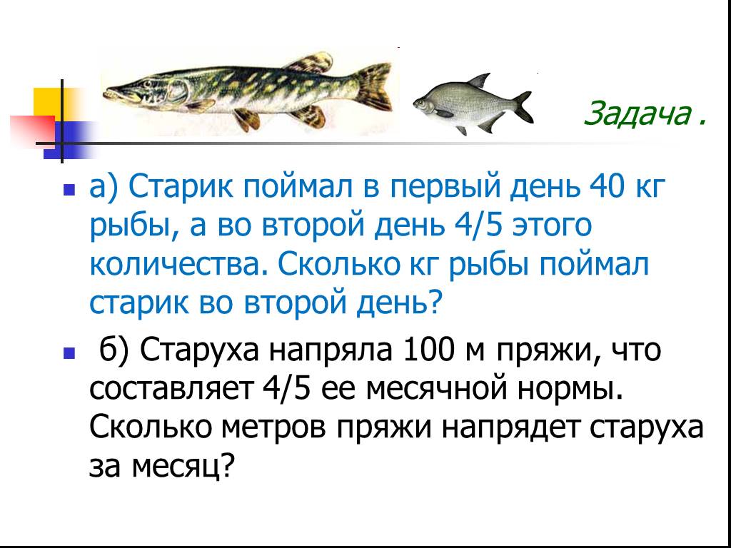 Какая рыба плохая. Задача про рыб 1 класс. Сколько рыб. Рыба Решающая задачу. Задачку для о рыбаках для 1 класса.