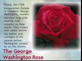 During the 1789 Inauguration Parade of President George Washington, women marched long while wearing rose-wreaths on their heads. They tossed rose petals before the horses and carriages in the parade before Washington passed by on the streets. The George Washington Rose