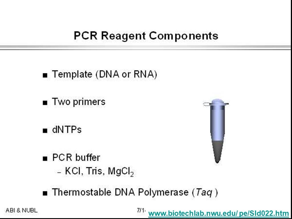 Component template