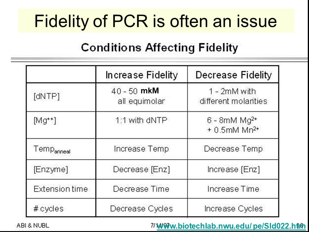 Fidelity перевод. RSPCR презентация. Which PCR conditions and parameters have to be determined?.