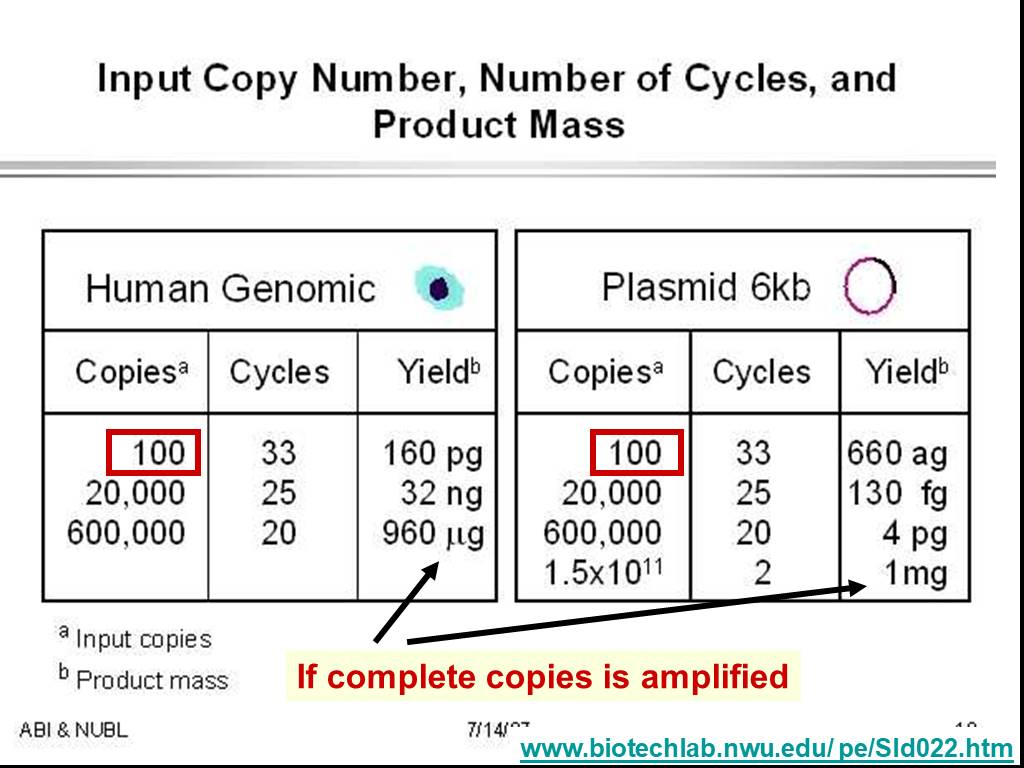 Copy complete перевод