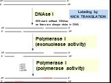 Labeling by NICK TRANSLATION DNAse I. Polymerase I (exonuclease activity). Polymerase I (polymerase activity). Will work without DNAse, as there are always nicks in DNA