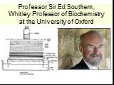 Professor Sir Ed Southern, Whitley Professor of Biochemistry at the University of Oxford