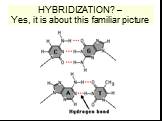 HYBRIDIZATION? – Yes, it is about this familiar picture