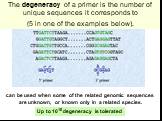 The degeneracy of a primer is the number of unique sequences it corresponds to (5 in one of the examples below). can be used when some of the related genomic sequences are unknown, or known only in a related species. Up to 1010 degeneracy is tolerated