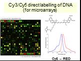 Cy3/Cy5 direct labelling of DNA (for microarrays). Cy5 -- RED
