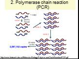 2. Polymerase chain reaction (PCR). http://www.bioteach.ubc.ca/MolecularBiology/PolymeraseChainReaction/PCR.gif