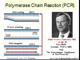 Polymerase Chain Reaction (PCR). ww2.mcgill.ca/biology/undergra/ c200a/f07-16.gif. DNA melting Primer annealing DNA elongation. Nobel Prize in Chemistry 1993, at age 48. Kary Mullis (invented PCR in 1983). PhD "The Cosmological Significance of Time Reversal,". Biochemistry from U.C. Berkel