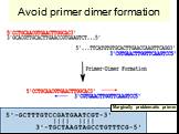 Avoid primer dimer formation Marginally problematic primer