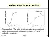 Plateau effect in PCR reaction