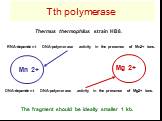 Tth polymerase Thermus thermophilus strain HB8. RNA-dependent DNA-polymerase activity in the presence of Mn2+ ions. DNA-dependent DNA-polymerase activity in the presence of Mg2+ ions. The fragment should be ideally smaller 1 kb. Mn 2+ Mg 2+