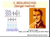3. SEQUENCING: (Sanger method) Sanger method: http://www.kids-dna.com/dnatube.gif. Frederick Sanger (Nobel prize 1980 with Paul Berg and Walter Gilbert)