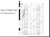 http://www.ncbi.nlm.nih.gov/books/bv.fcgi?rid=hmg.figgrp.1556. Types of Physical Maps For Chromosome 21