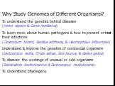 Why Study Genomes of Different Organisms? To understand the genetics behind diseases (Homo sapien & Canis familiarus) To learn more about human pathogens & how to prevent or treat their infections (Clostridium tetani, Bacillus anthacis, & Haemophilus influenzae) Understand & improve 