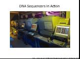 http://www.ornl.gov/TechResources/Human_Genome/graphics/slides/ttseqfacility.html. DNA Sequencers in Action