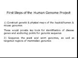 First Steps of the Human Genome Project 1) Construct genetic & physical maps of the haploid human & mouse genomes These would provide key tools for identification of disease genes and anchoring points for genomic sequence 2) Sequence the yeast and worm genomes, as well as targeted regions of