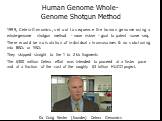 1999, Celera Genomics, set out to sequence the human genome using a whole-genome shotgun method - more riskier - goal to patent some seq. There would be no isolation of individual chromosomes & no subcloning into BACs or YACs They skipped straight to the 1 to 2 kb fragments The 0 million Cele