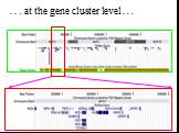 . . . at the gene cluster level . . .