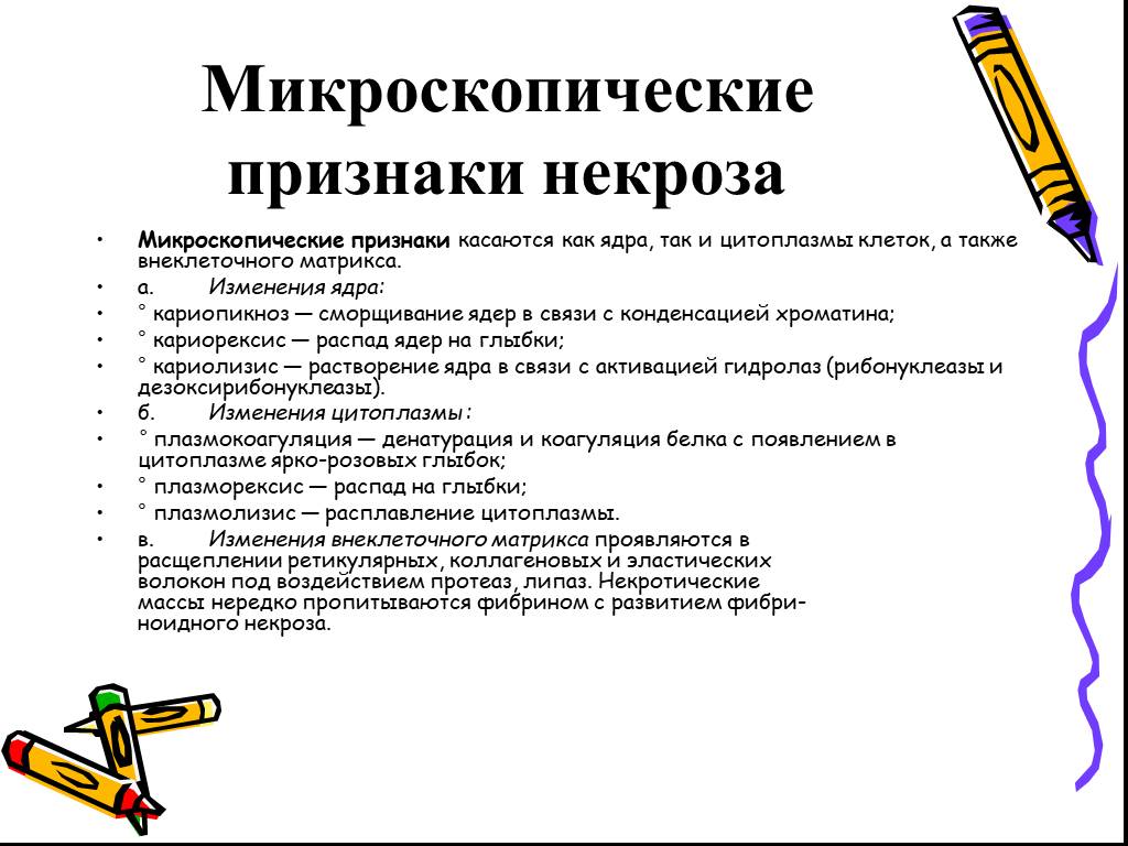 Признаки некроза. Микроскопические признаки некроза. Морфологические признаки некроза. Некроз макроскопические и микроскопические признаки. Микроскопические признаки некроза клетки.