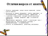 Отличия некроза от апоптоза. Апоптоз захватывает всегда только отдельные клетки или их группы. В отличие от некроза разрушение клетки происходит не активированными гидролитическими ферментами, а с участием специальных кальций-магнийзависимых эндонуклеаз, которые разрезают ядро на множество фрагменто