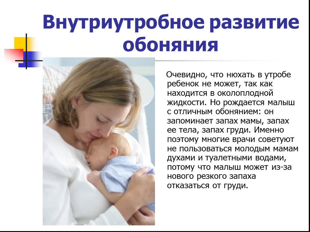Мама воняет. Внутриутробное развитие обоняния. Младенцы чувствуют запахи. Ребенок не чувствует запаха. Новорожденные чувствуют запахи.