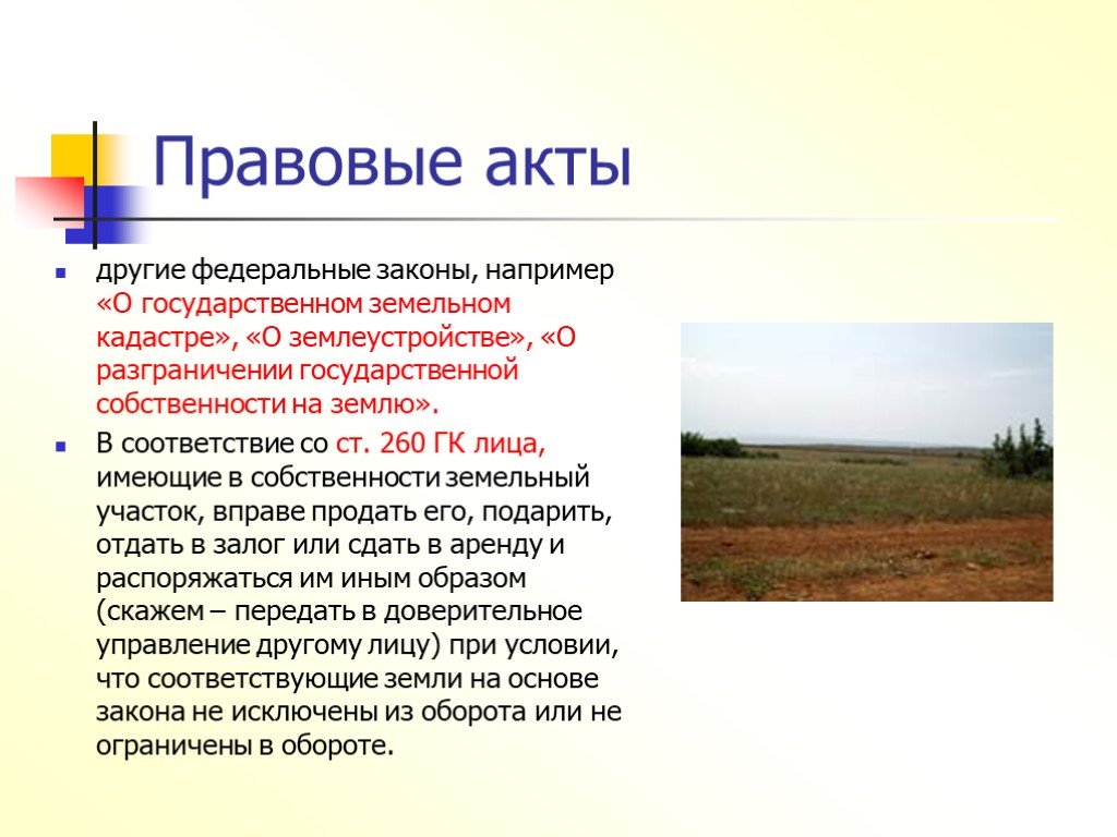 Национальный доклад о кадастре. Презентация собственность 9 класс. Разграничение государственной собственности на землю.