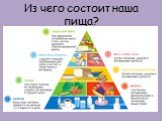 Из чего состоит наша пища?