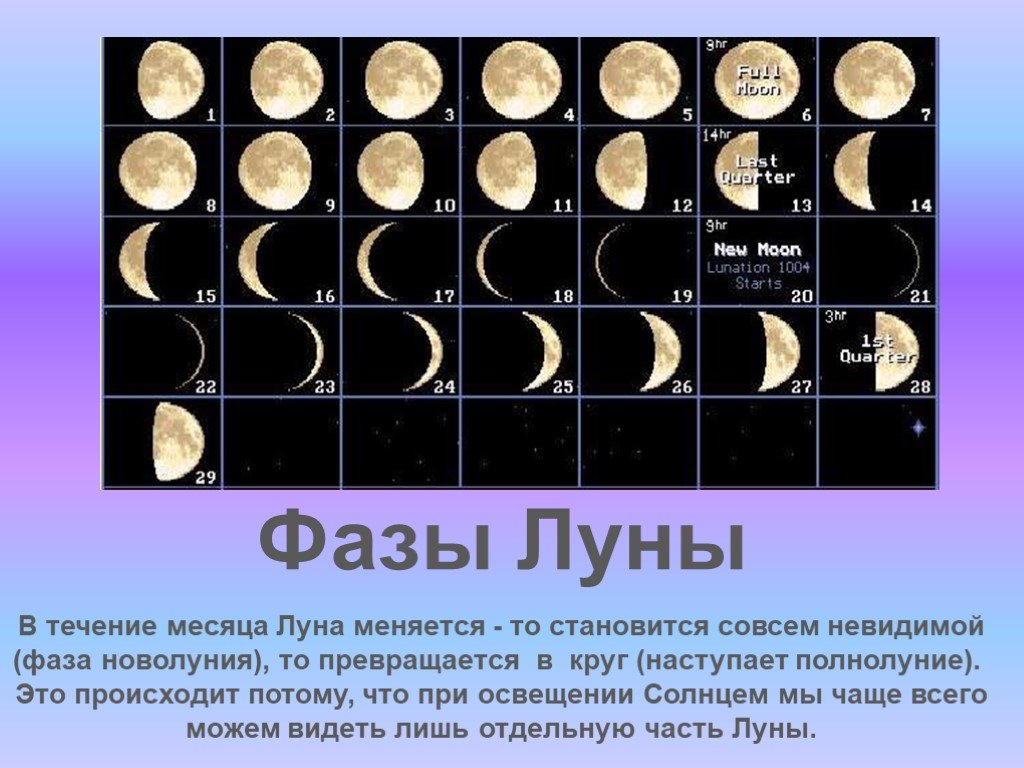Почему меняется месяца. Луна в течение месяца. Лулуна в течение месяца. Наблюдение за луной в течение месяца. Наблюдение за луной в течение месяца окружающий мир.