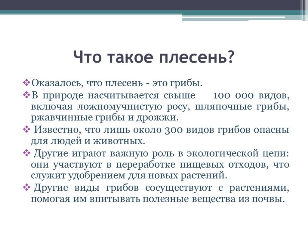 Презентация "Плесень и мы" (3 класс) по окружающему миру - скачать проект