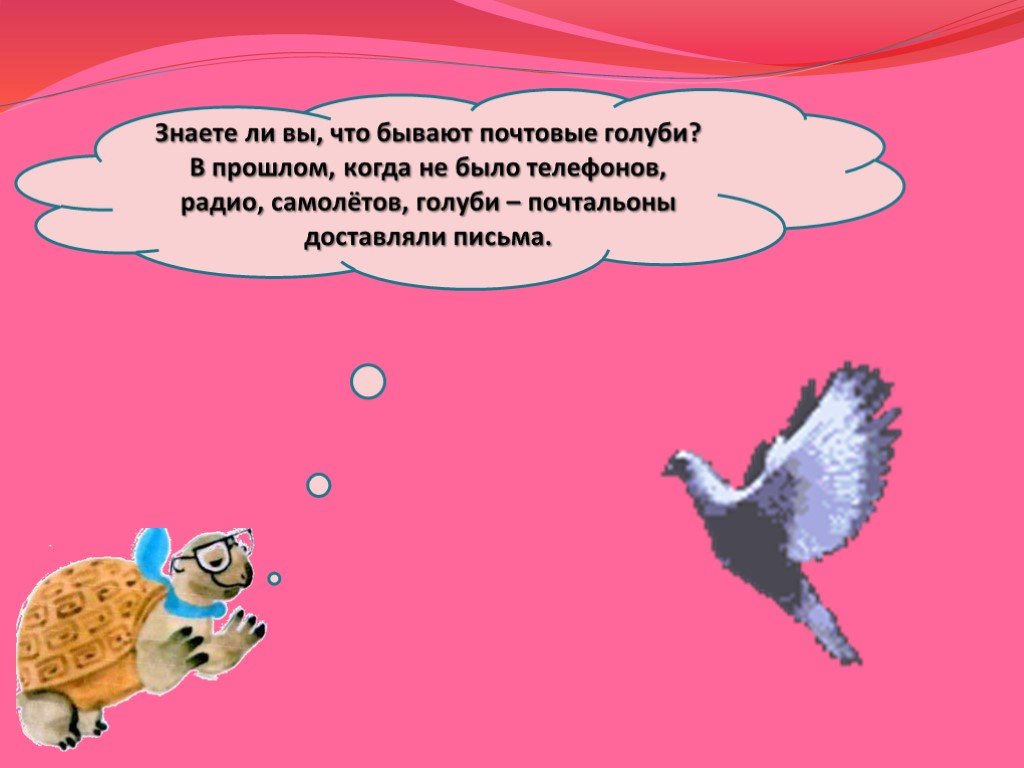 Письмо знаешь. Что умеют голуби. А вы знали что голуби. Как почтовые голуби находят дорогу к адресату. Как раньше отправляли письма с голубями.