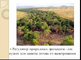 Регулятор природных процессов - лес нужен для защиты почвы от выветривания.