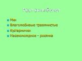 Растения болот. Мхи Влаголюбивые травянистые Кустарнички Насекомоядное - росянка