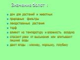 Значение болот : дом для растений и животных природные фильтры лекарственные растения торф влияют на температуру и влажность воздуха спасают реки от высыхания или впитывают лишние воды дают ягоды : клюкву, морошку, голубику