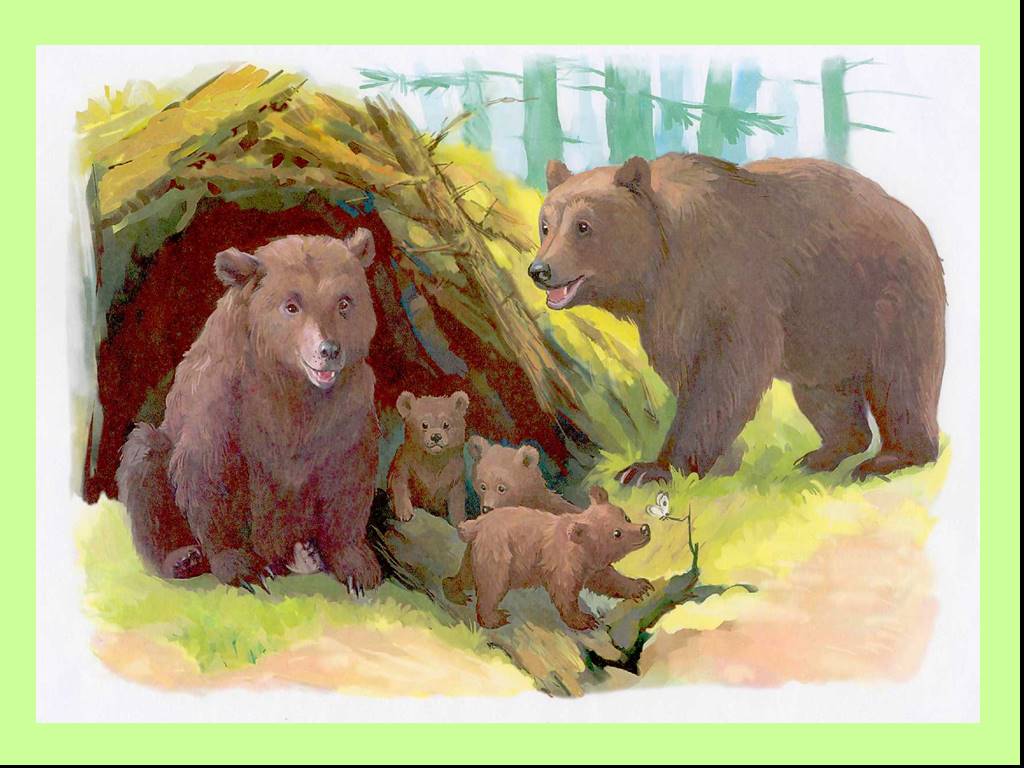 Дикие и домашние животные весной. Семья медведей. Медведь для детей дошкольного возраста. Детеныши диких животных. Медведь с медвежонком.