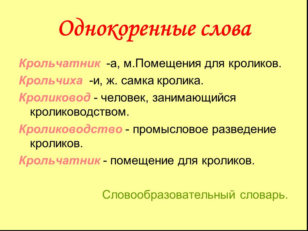 Проект энциклопедия одного слова 6 класс