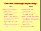 Чем отличается кролик от зайца? Зайцы Зайцы ведут одинокий образ жизни. - Уши длинные, задние лапы длиннее. Бегают очень быстро. Зайцы не так плодовиты. Не привязаны к территории, не строят норы. Попытки одомашнить ни к чему не привели. Кролики Дикие кролики живут поколениями. -Уши и задние лапы у к