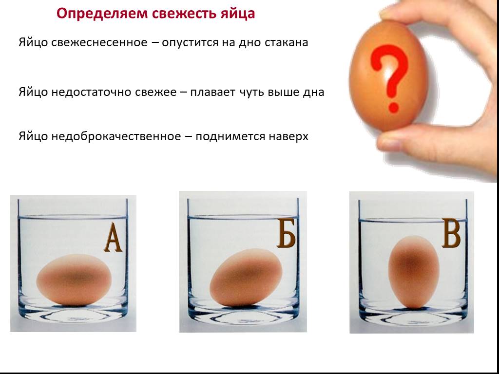 Как определить свежесть яиц в домашних