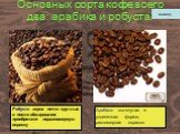 Основных сорта кофе всего два: арабика и робуста. Робуста- зерна почти круглые и после обжаривания приобретают неравномерную окраску. Арабика- вытянутая и удлиненная форма, равномерная окраска.
