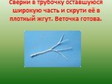 Сверни в трубочку оставшуюся широкую часть и скрути её в плотный жгут. Веточка готова.