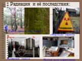 Радиация и её последствия: Гибель лесов от радиации. После До Вымершие города. Пустые залы управления. «Мертвые» деревни