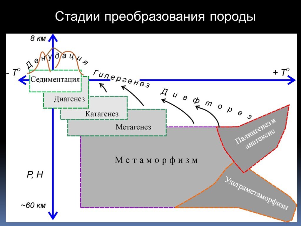 Этапы преобразований. Стадии диагенеза катагенеза и метагенеза. Стадии формирования осадочных пород. Стадии преобразования породы. Этапы бредообразования.