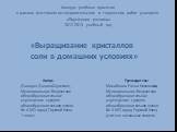 Конкурс учебных проектов в рамках фестиваля исследовательских и творческих работ учащихся «Портфолио ученика» 2012-2013 учебный год. «Выращивание кристаллов соли в домашних условиях». Руководитель: Михайлова Елена Николаевна, Муниципальное бюджетное общеобразовательное учреждение средняя общеобразов