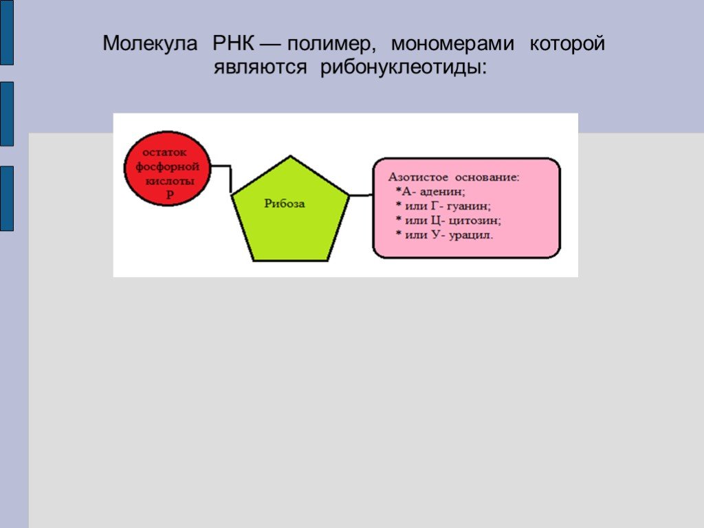 Мономером рнк является. Строение мономера РНК. Схема строения мономера РНК. Структура мономера РНК. РНК полимер мономерами которого являются рибонуклеотиды.