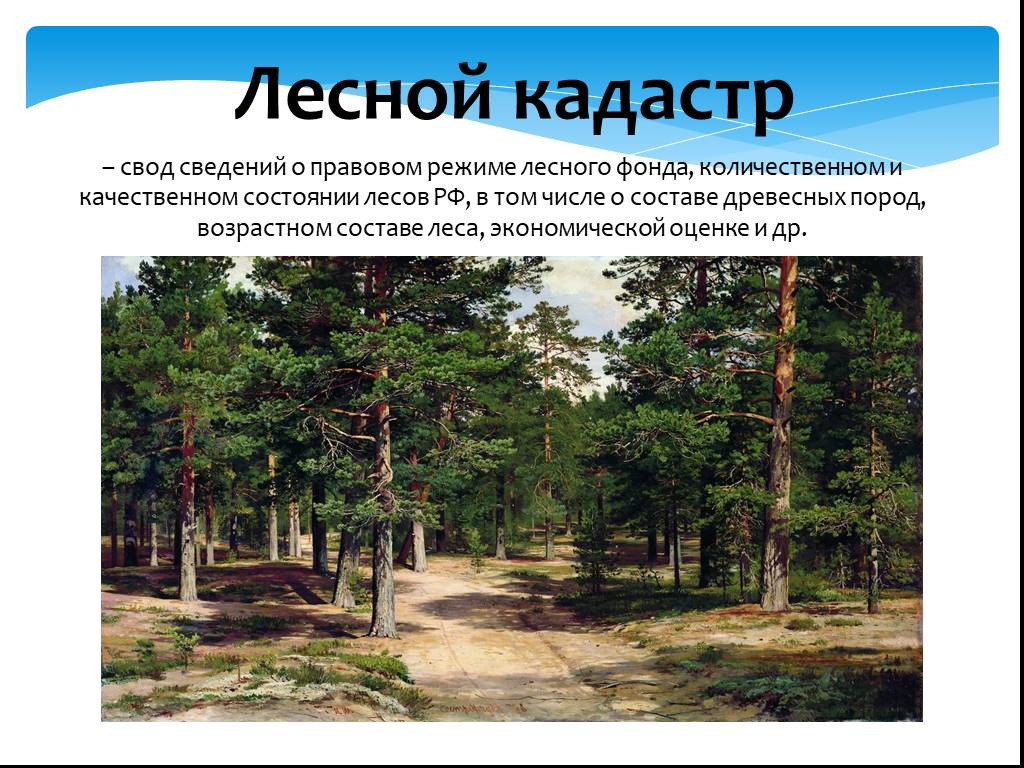 Государственный Лесной кадастр. Гос Лесной кадастр это. Лесные ресурсы кадастр. Объекты лесного кадастра.