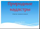 Природные кадастры. Пантелеева Виктория ЗиК-9. (Кадастры природных ресурсов)